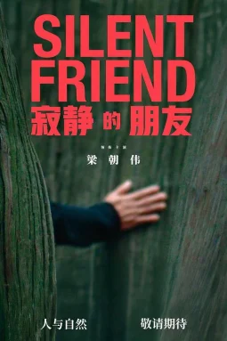 寂静的朋友