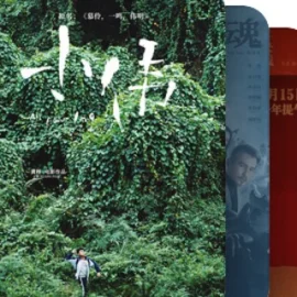 有可能买票（网络在线看）的院线电影